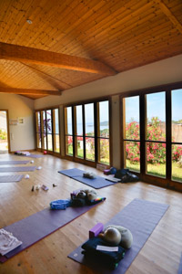 Yoga Shala